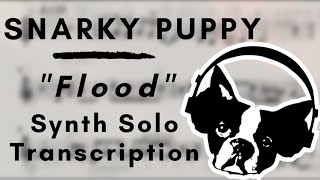 Snarky Puppy  Flood Synth Solo Transcription [upl. by Flinn]