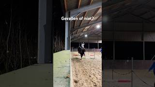 GEVALLEN of NIET🤔😱 horse horsefail equestrian [upl. by Aimik]