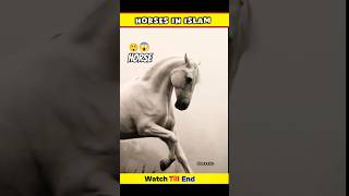 horses 🐎 horse riding 🐎 beautiful horse horse horseriding facts shorts ghoda [upl. by Ellekcim374]