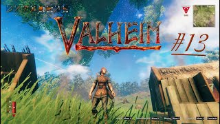 Bau der Palisaden 🔨 VALHEIM 13 [upl. by Ellenuahs]