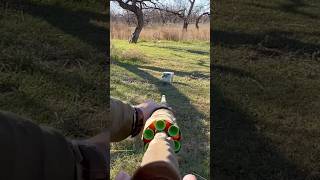 Blowgun practice shots blowguns hunting archery bowsandarrows hoghunting [upl. by Barty]