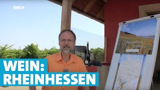 Werner erklärt Wein Rheinhessen [upl. by Xyla]