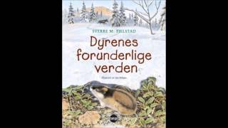 Dyrenes forunderlige verden  Sverre M Fjelstad [upl. by Gerard68]