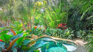 AMAZING TROPICAL GARDEN  MODERN HOUSE TROPICAL PLANTS IDEAS 2 [upl. by Etteuqaj157]