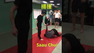 Choy Li Fut kung fu punch Saau Chui converts to hip throw and leg reap takedown torontokungfu [upl. by Farly]