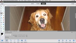 Correct quotPet Eyequot in Photoshop Elements 12 [upl. by Ettenaej]