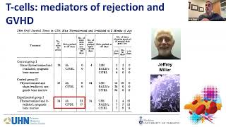 Bone Marrow Transplant Patient Information Chapter 2  Bone Marrow Transplants [upl. by Lumbye522]