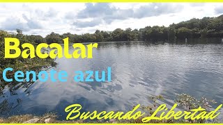 🔴 Cenote azul en Bacalar 🤿 Precios 2024 [upl. by Thaddeus]