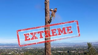 Tree Removal at EXTREME Heights [upl. by Ehud159]