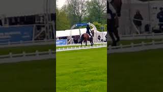 Dressage at Chatsworth horse trials equestrian £ pony horse dressage [upl. by Atirehc582]