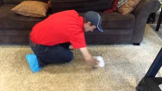 How to remove a carpet stains from high traffic area  Carpet Cleaning [upl. by Lesig]