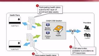 COB Smart Health Plan Strategies on Coordination of Benefits [upl. by Johnna]