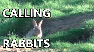 The mystic art of calling rabbits [upl. by Nickolas]