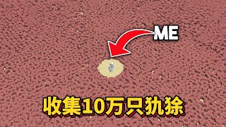 我的世界：肝帝老哥收集10万只犰狳，建造犰狳乐园 我的世界minecraft [upl. by Aek498]