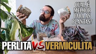 PERLITA ou VERMICULITA  Qual é melhor para as plantas [upl. by Eadas722]