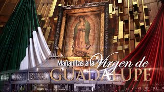 MAÑANITAS A LA VIRGEN DE GUADALUPE 2024  ANESMA TV [upl. by Drofla]