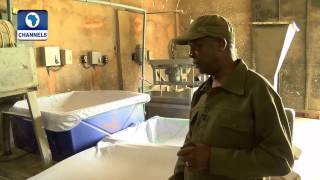 BOI Weekly Farmer Produces Odourless Flour In A Specialised Way [upl. by Maurili]