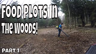 Learn How To Make A Food Plot With No Equipment [upl. by Annaierb]