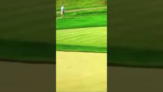 LPGA golfer hits a bird with her drive lpga [upl. by Zacks]