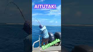 AIitutaki fishing aitutaki music cookisland 釣り simms [upl. by Aggri]