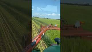 Chopping Alfalfa amp Barely for Silage shorts farming tractor fendt johndeere satisfying viral [upl. by Maxy]