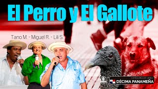 Tano Mojica vs Lily Samaniego vs Miguelito Rivera N° 65 EL PERRO Y EL GALLOTE [upl. by Allemac]