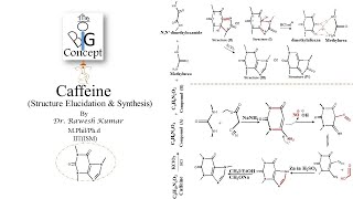 Caffeine Structure elucidation and Synthesisthebigconceptpgtopics6291 [upl. by Lanae]