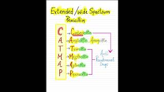 Antimicrobial DrugsPenicillin Extended  Wide Spectrum CATMAP penicillin medicaleducation [upl. by Bertelli]