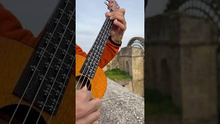 Bulería on microtonal ukulele [upl. by Annanhoj]