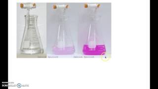 Antacid Titration Experimental Set Up [upl. by Hayn]