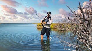 This Is How I Fish for Survival  Mangrove Forest Catch n’ Cook [upl. by Pompei463]