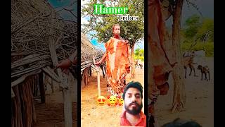 Marriage tradition of Hamer tribe tribal africa shorts india trending [upl. by Daniala]