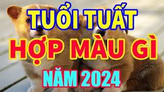 Tuổi Tuất hợp màu gì năm 2024 mang lại may mắn tài lộc mauhoptuoituat tuoituat2024 tuvituoituat [upl. by Ahtram]