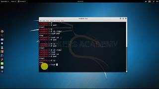 How to Navigating Directories in Kali Linux [upl. by Lahtnero98]