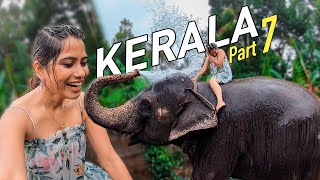 Thekkady Luxury Resort Stay  Periyar Tiger Reserve  Elephant Shower  Kerala Tourism Part 7 [upl. by Notecnirp777]