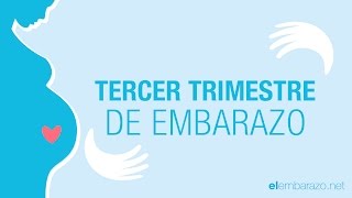 Tercer Trimestre de embarazo – Embarazo trimestre a trimestre [upl. by Rehportsirhc]