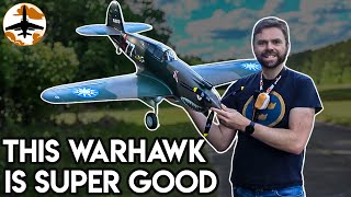 This Warbird is Almost The Best With 1 Flaw  FMS P40B Warhawk 1400mm [upl. by Heinrick]