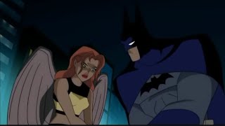 batman and Hawkgirl Justice League DC [upl. by Jennilee]