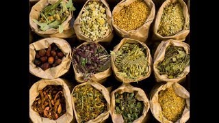 The Secrets Of Herbal Medicine  Best Documentary Of All Time [upl. by Asserat]