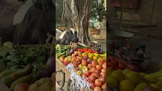 अंकल का सब्ज़ी गाय माता खा गई😱🥲humanity respect helping trending viralvideo youtubeshorts [upl. by Stevens]