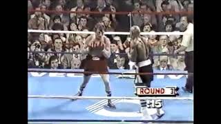 Marvin Hagler Vs Tony Sibson Highlights [upl. by Airekal]