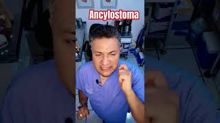 Ancylostoma music love edm parati veterinaria perros creepypasta enfermedad veterinaria [upl. by Anadroj]