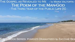 AudioBook Poem of ManGod Series 25 Third Year of Public Life 5 Messiahs Farewell to Judea [upl. by Shiau]