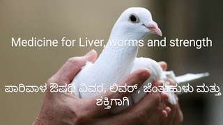 Best medicine to keep pigeon healthy  Liver medicine for pigeon  How to keep pigeon healthy [upl. by Mccallion466]