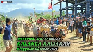 MAKEPUNG KALIAKAH  seri sembilan 2024 mekepung [upl. by Melmon]