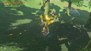 GOLD BOKOBLIN INSTAKILL  Zelda Breath of the Wild [upl. by Asuncion]