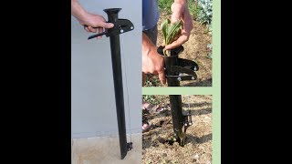 Seedling transplanter [upl. by Bower]