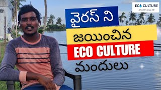 వైరస్ ని ఆక్వా సాగు కంట్రోల్ చేస్తున్న Eco Culture ప్రొడక్ట్స్ [upl. by Truc]