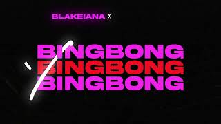 BlakeIANA  BING BONG feat Sexyy Red Remix Official Visualizer [upl. by Aslehc]