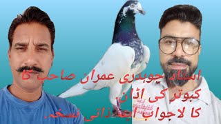 ustad ch Imran ka kabotar ki parwaz ka desi pani royal pigeon [upl. by Hildegarde740]